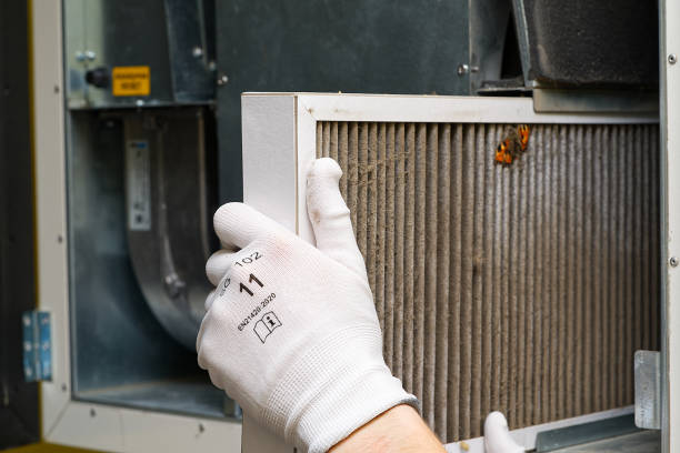 Best Affordable Duct Cleaning Services  in San Pasqual, CA